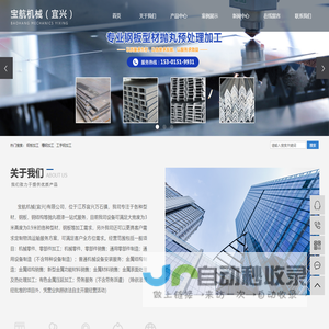 网站截图