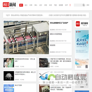 网站截图